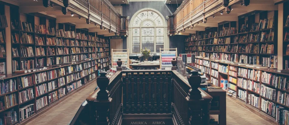 Higher Education System