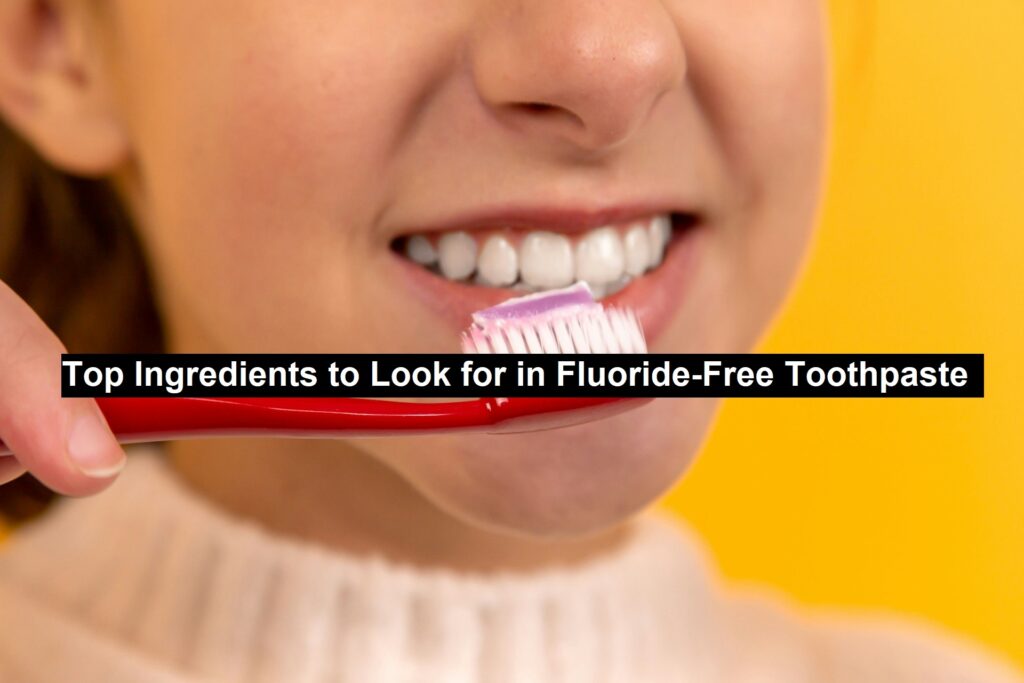 Top Ingredients to Look for in Fluoride-Free Toothpaste