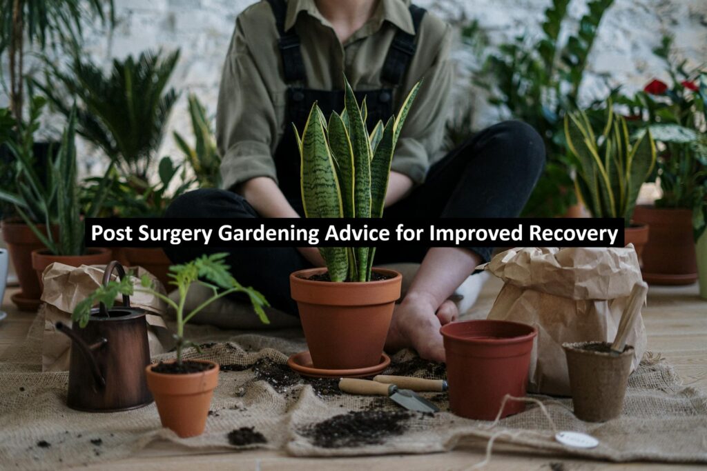 Post Surgery Gardening Advice for Improved Recovery